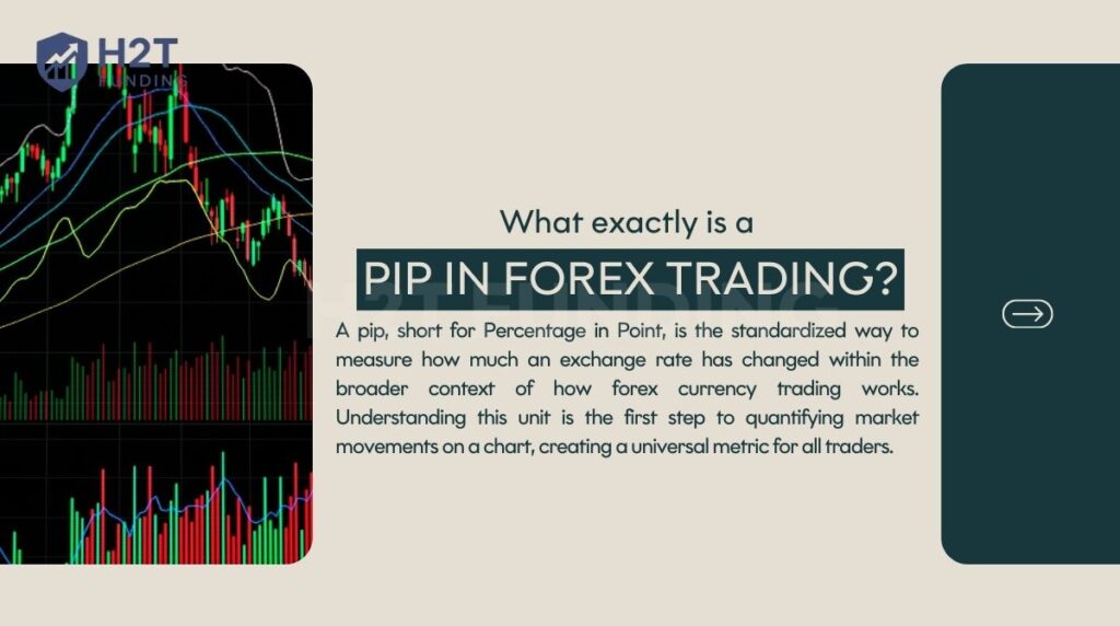 A pip is the standard unit used to measure exchange rate movements in forex trading