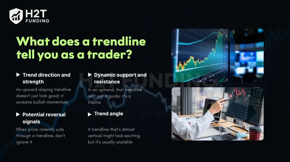 A trendline tells you where the price wants to go, where it might turn around