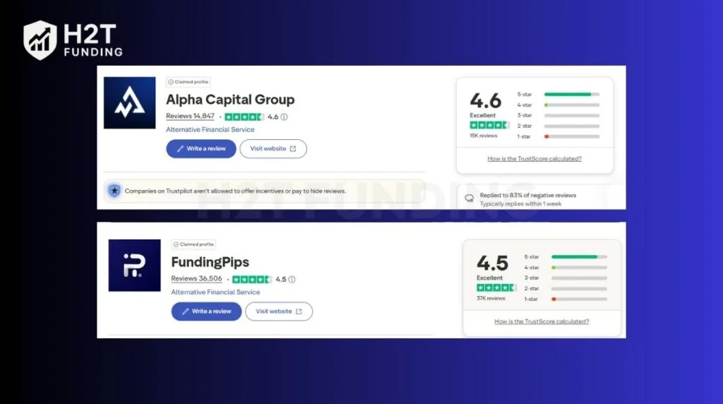 An overview of each firm