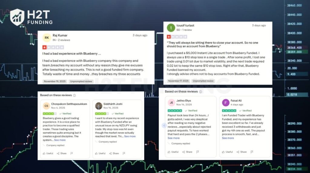 Blueberry Funded review