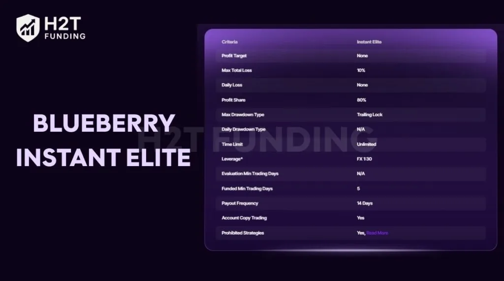 Blueberry Instant Elite