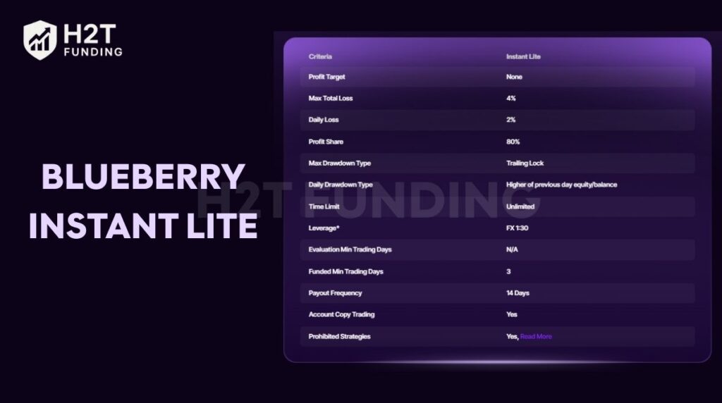 Blueberry Instant Lite