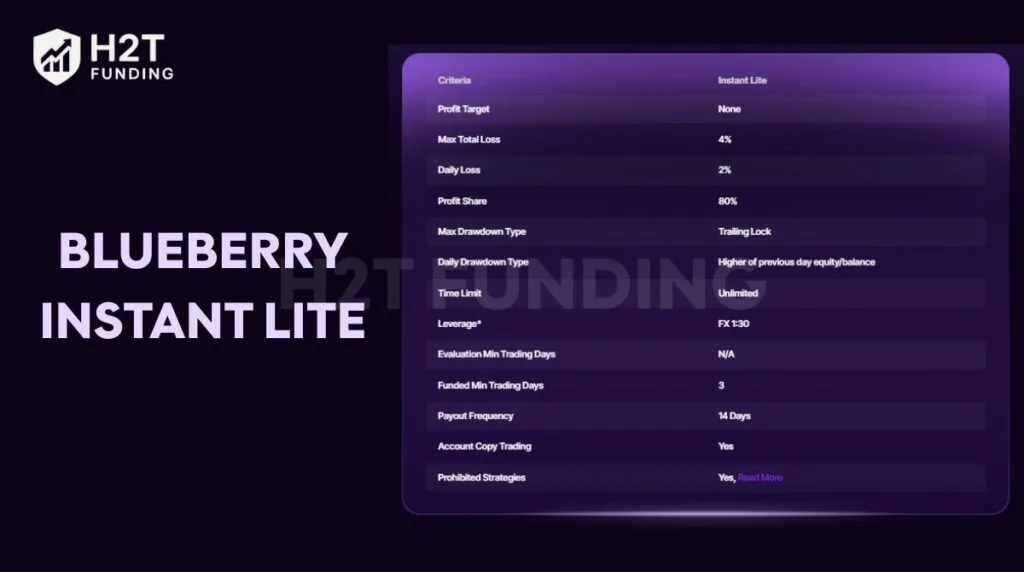 Blueberry Instant Lite