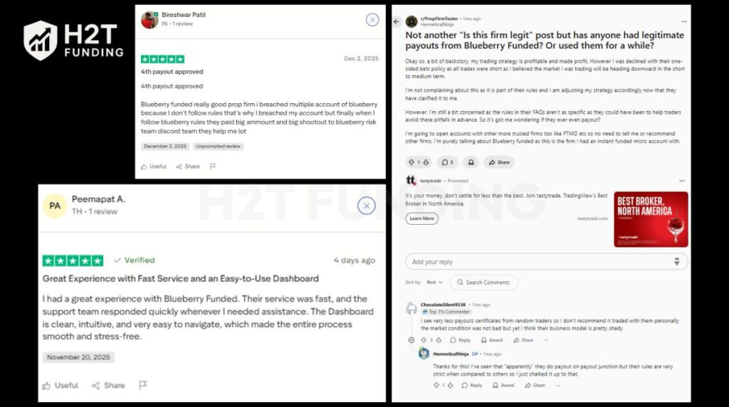 Community feedback on Trustpilot and Reddit about Blueberry Funded