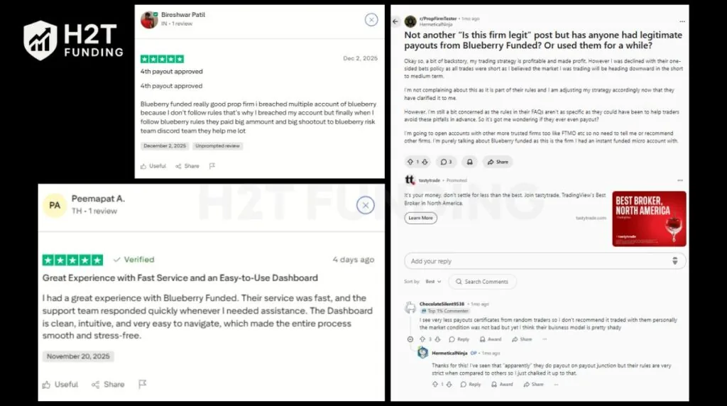 Community feedback on Trustpilot and Reddit about Blueberry Funded