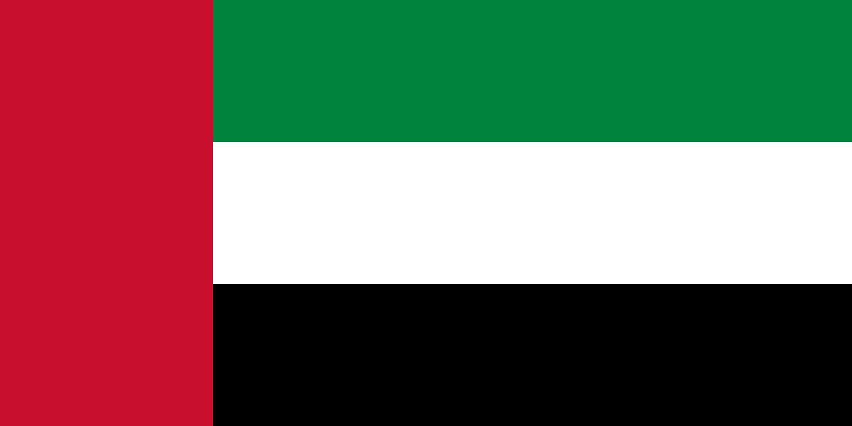 Dubai flag