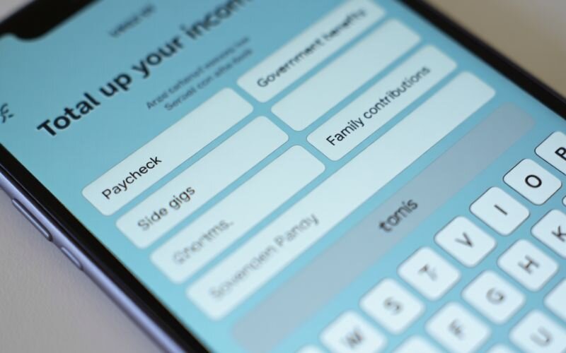 Income include your paycheck, or even occasional cash from family