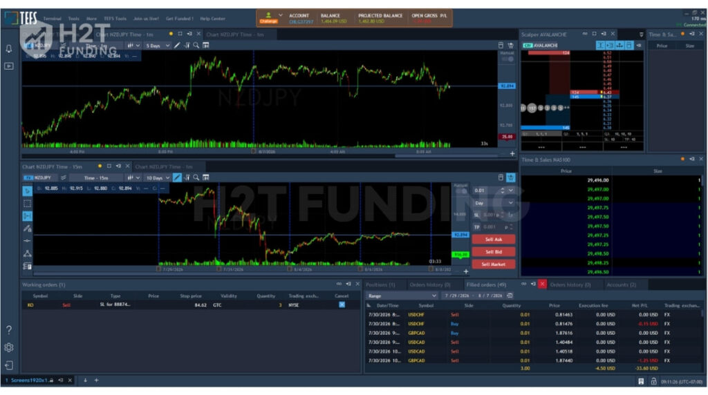 Main Screen of TEFS flatform