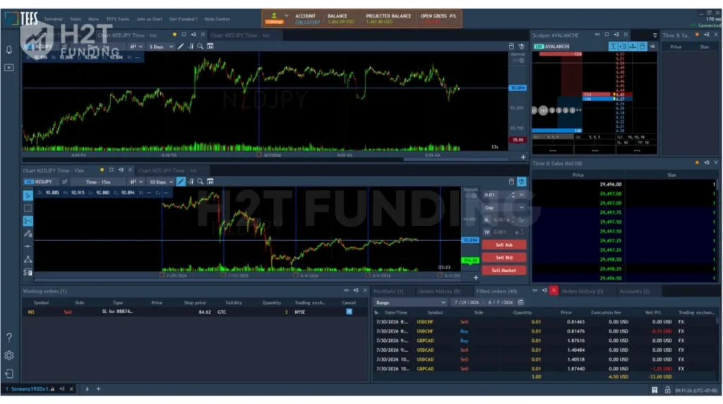 Main Screen of TEFS flatform