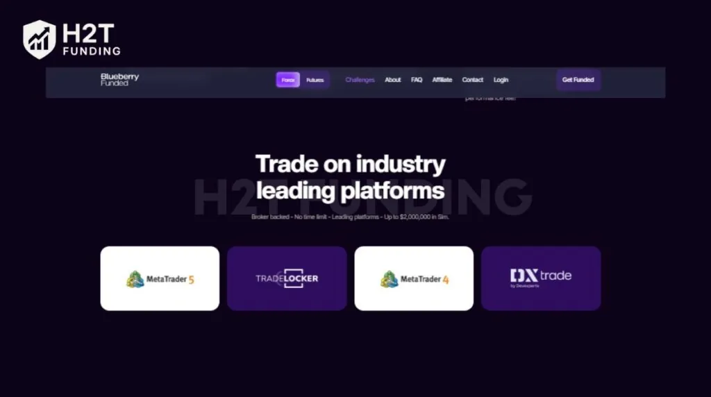 Multiple professional trading platforms supported by Blueberry Funded