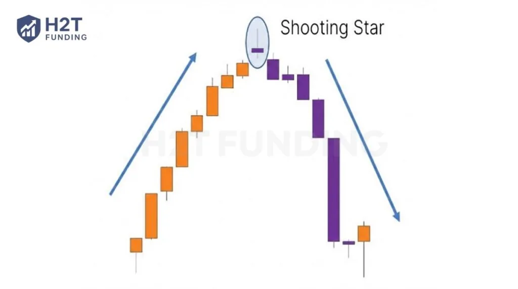 The Shooting Star