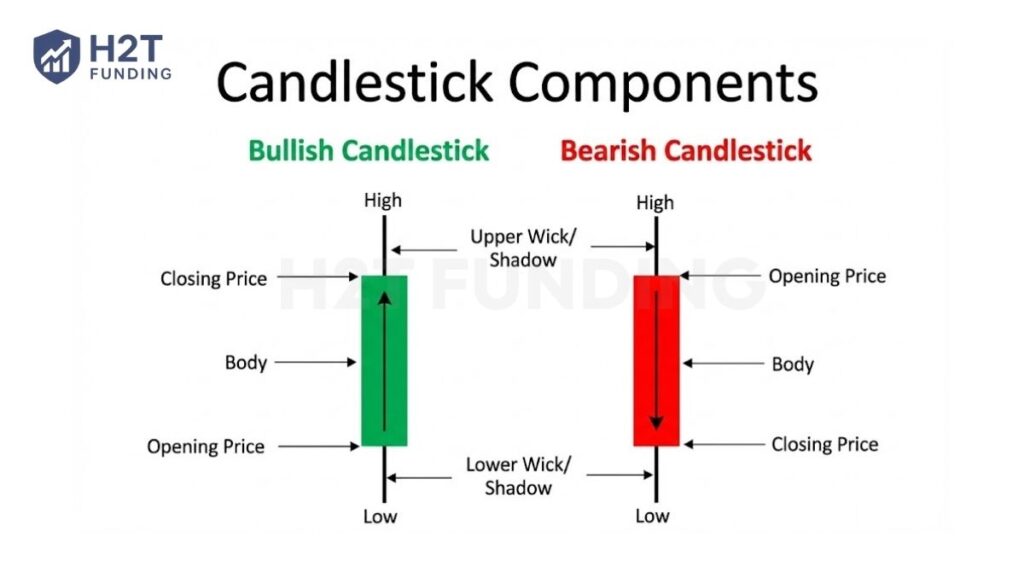 The components of a candlestick