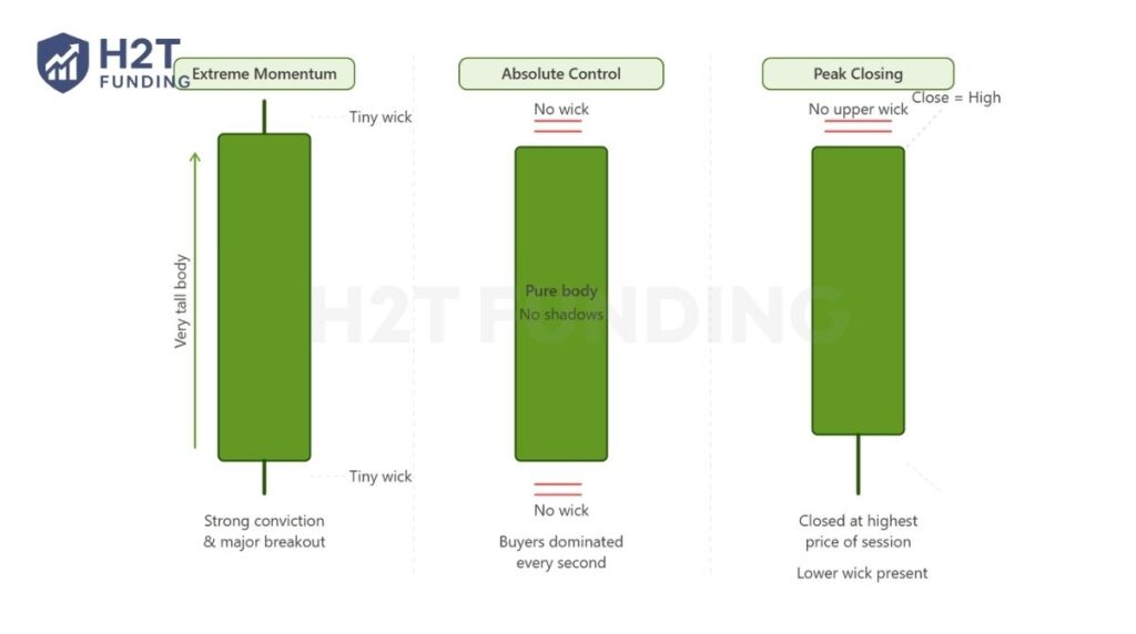 The specific shape of these components tells a much deeper story about market momentum
