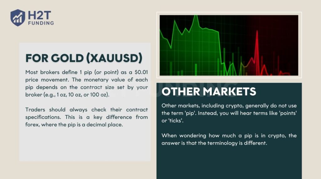 The way price movements are measured for assets like Gold and cryptocurrencies differs slightly from forex pips