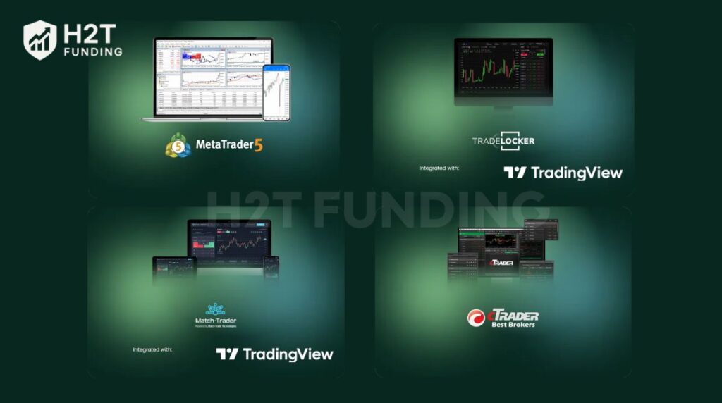Top One Trader trading platform