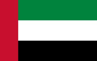 United Arab Emirates flag