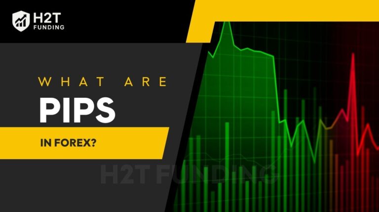 what are pips in forex